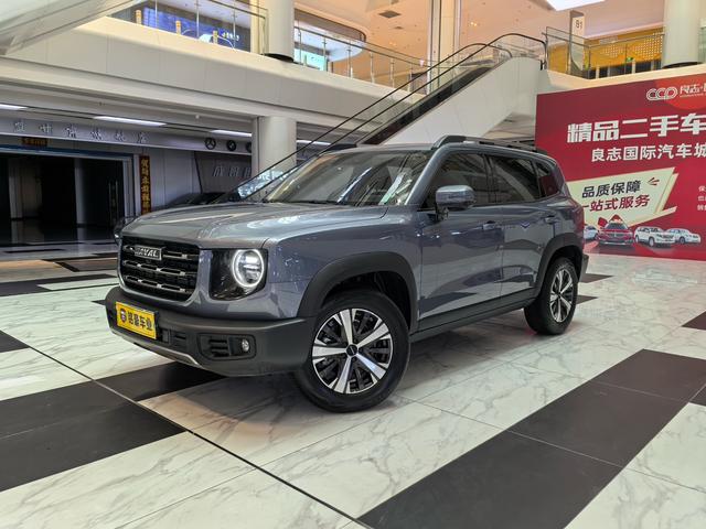Havoc Big Dog 2022 1.5T 2WD Labrador Edition