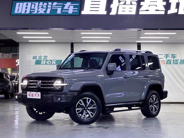 Tank 300 2023 City 2.0T Very Sleek