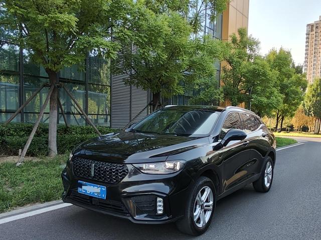 Wei brand VV5 2020 1.5T Smart Pioneer