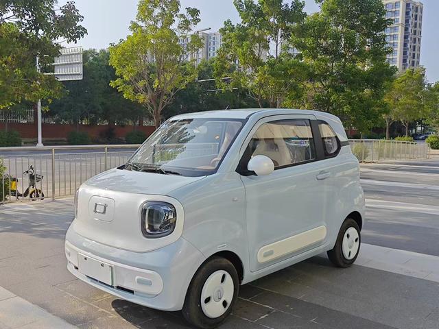 Pentium Pony 2026 222km Shining Horse