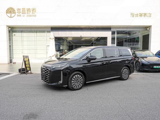 Summer 2025 DM-i 180KM transcendent type