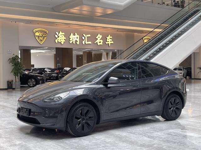 Model Y 2024 rear-wheel drive version