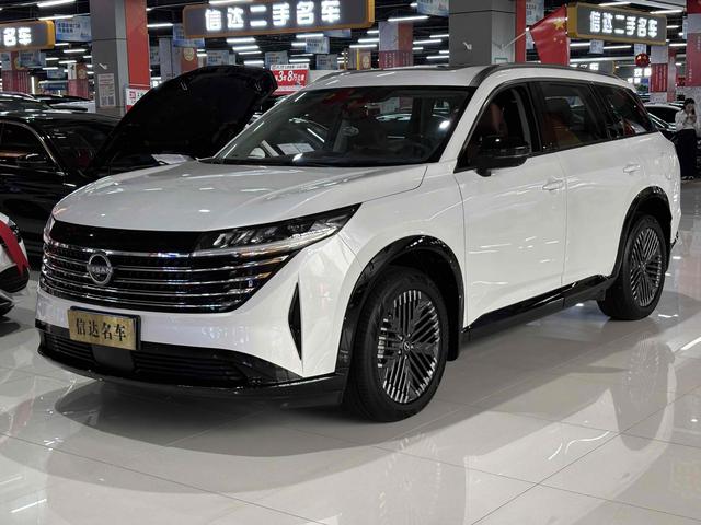 Tanlu 2024 380VC-TURBO four-wheel drive Zhizun Edition six-seater