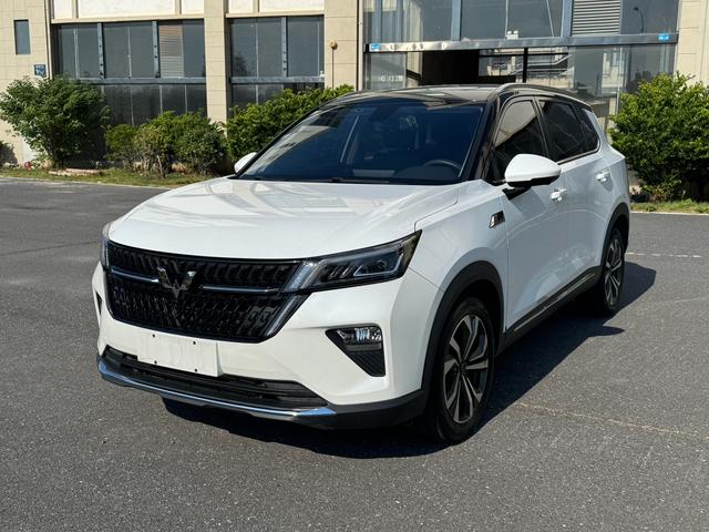 Wuling Xingchen 2021 1.5T Automatic Star Obsidian Version