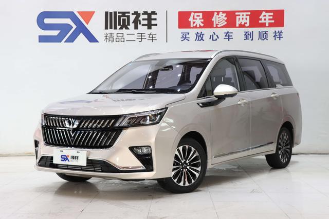 Wuling Jiachen 2022 1.5T CVT Exclusive Flagship Model