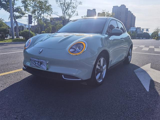 Ola Good Cat 2022 Morandi Edition 400km Standard Range Premium Lithium III