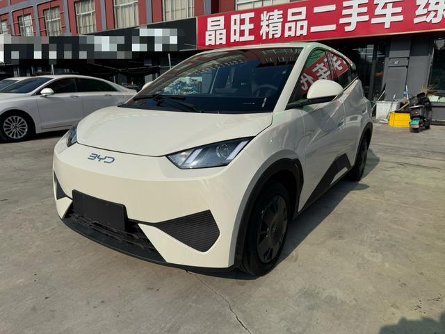 Seagull 2025 Smart Driving Version 305KM Vitality Version