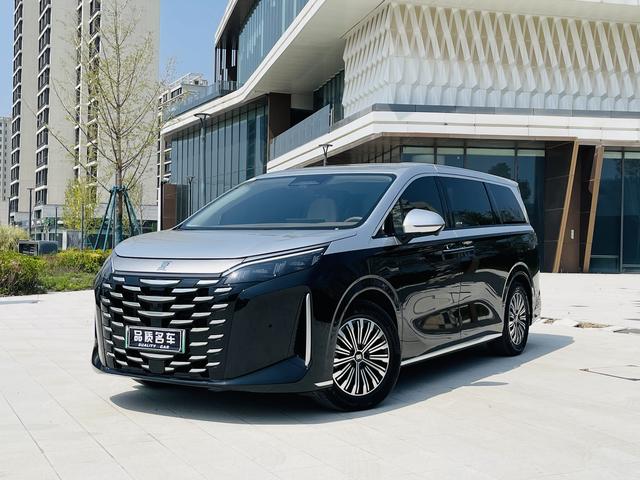 Summer 2025 DM-i 180KM excellent type