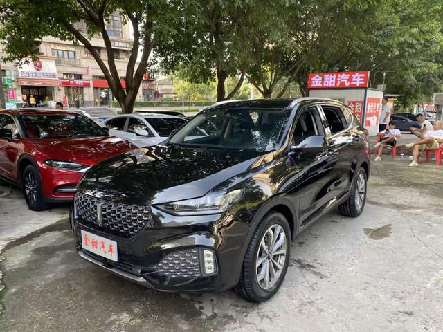Wei brand VV6 2020 2.0T four-wheel drive Zhiyu+