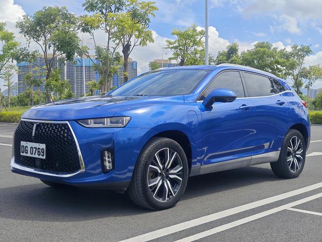 Wei brand P8 2018 2.0T flagship model