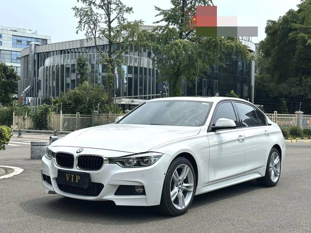 BMW 3 Series 2019 320Li M Sport Package