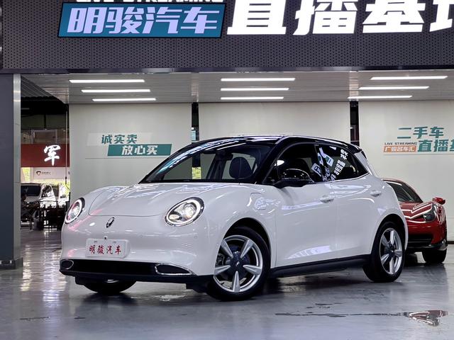 Ola Good Cat 2021 500km Long Range Poseidon Edition Li-ion Ternary Battery