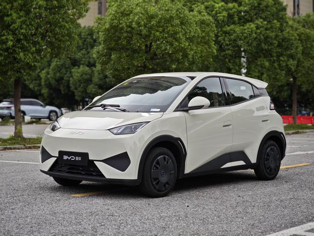 Seagull 2025 305KM Vitality Edition