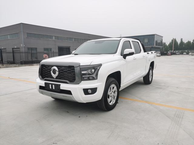 King Kong Cannon 2023 2.0T gasoline manual two-wheel drive entrepreneurial flat box GW4C20C