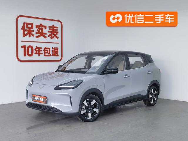 Wuling Bingguo PLUS 2024 510km five-seater version