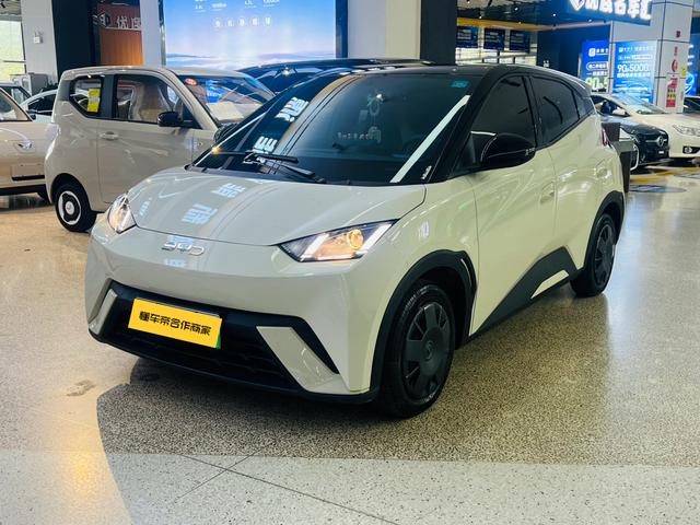 Seagull 2025 305KM Vitality Edition