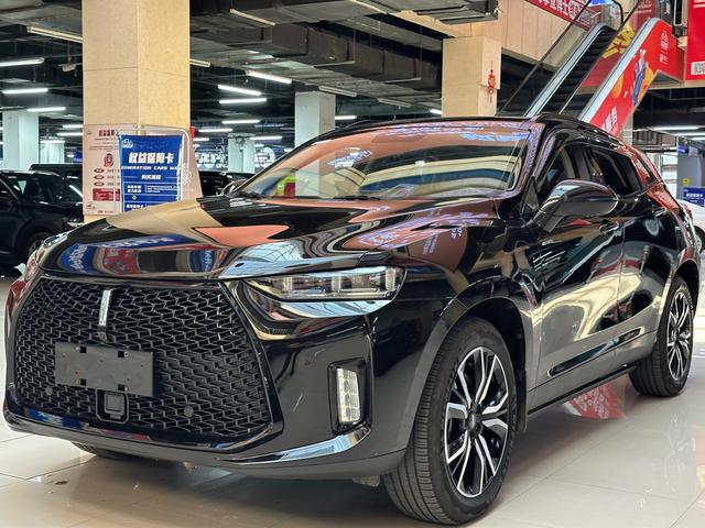 Wei brand P8 2018 2.0T flagship model
