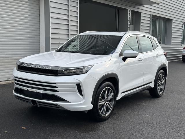 Star Way Chasing the Wind 2021 1.6T DCT Versailles Star Edition