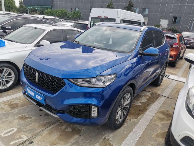 Wei brand VV6 2018 2.0T two-wheel drive super luxury national V