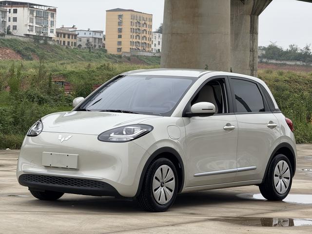 Wuling Colorado 2023 333KM Express