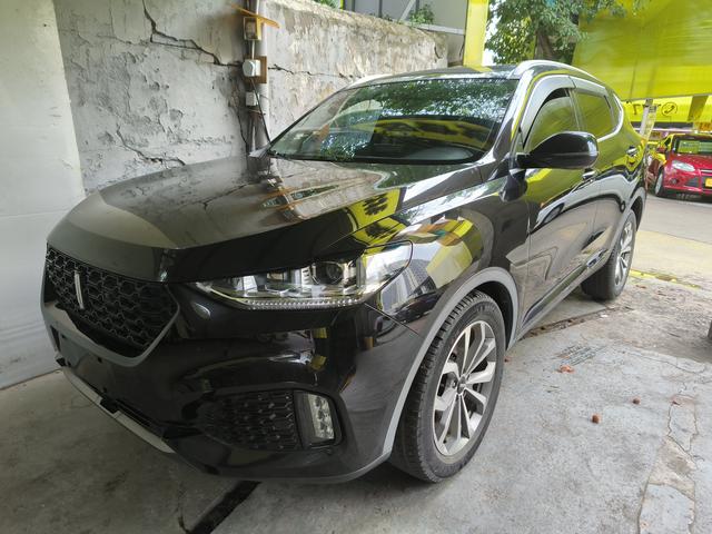 Wei brand VV6 2018 2.0T two-wheel drive super luxury national V