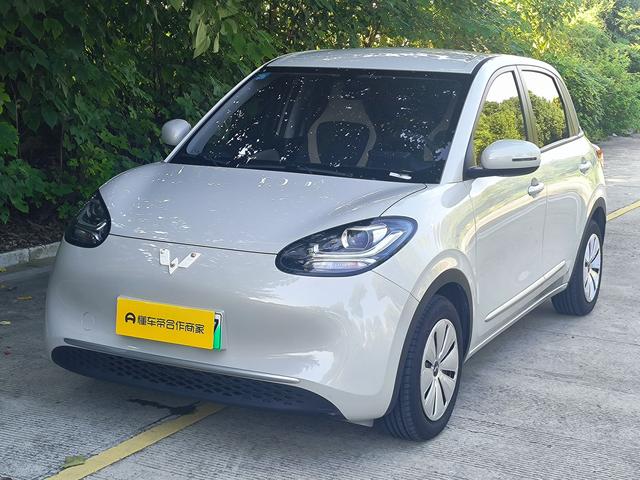 Wuling Colorado 2023 203KM Light Enjoyment Model