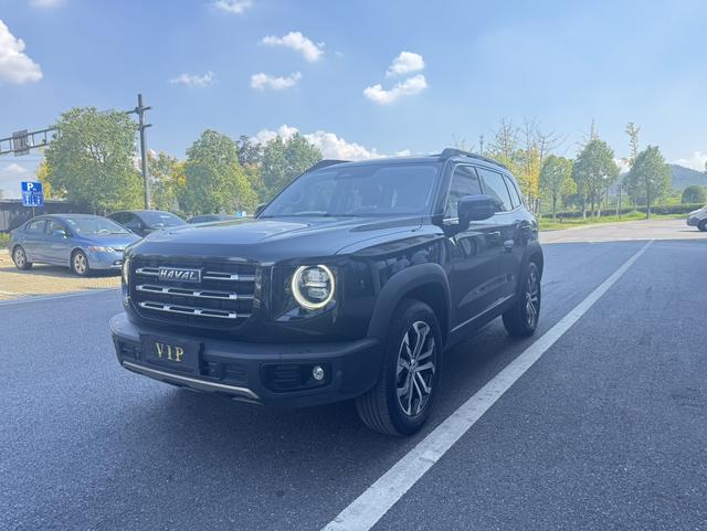 Havoc Big Dog 2022 1.5T 2WD Border Ranch Edition