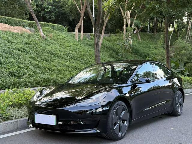 Model 3 2021 Standard Range Rear Drive Upgrade
