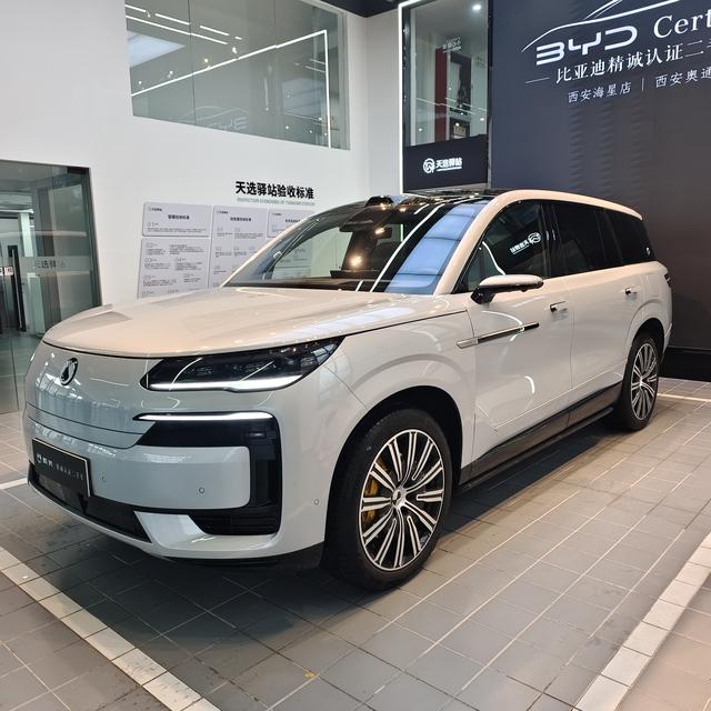 Denza N9 DM 2025 flagship model
