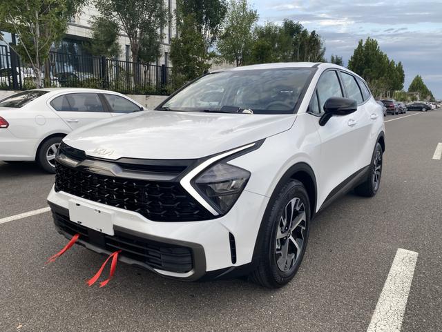 Lion Platinum Tuojie 2023 1.5T Two-wheel drive Deluxe Edition