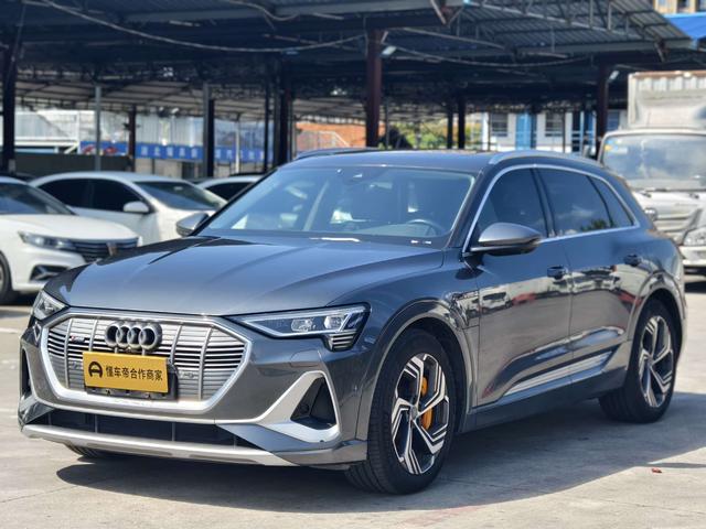 Audi e-tron 2021 50 quattro Pegasus