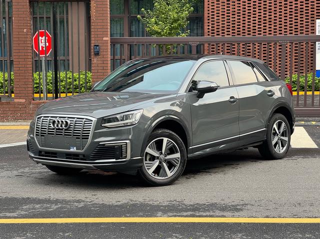 Audi Q2L e-tron 2019 Pure Electric Intelligence
