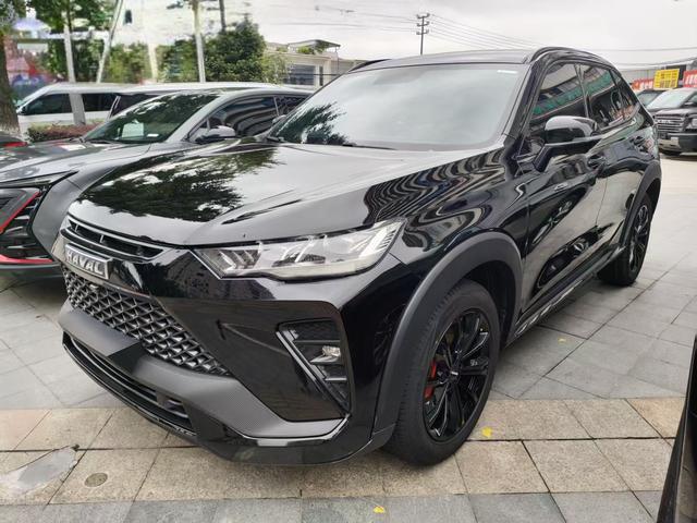 Haval H6S 2022 2.0T Pleasure Run Edition
