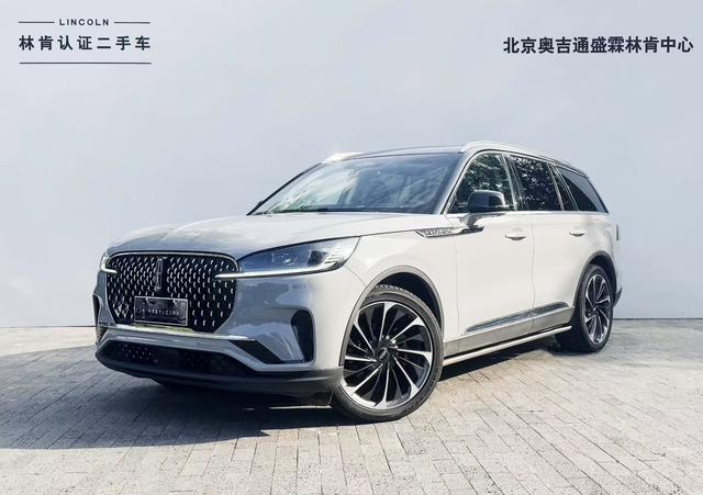 Flying Home 2024 3.0T V6 four-wheel drive luxury elegant six-seater