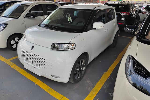 Euler White Cat 2022 upgraded version of 305km luxury ternary lithium