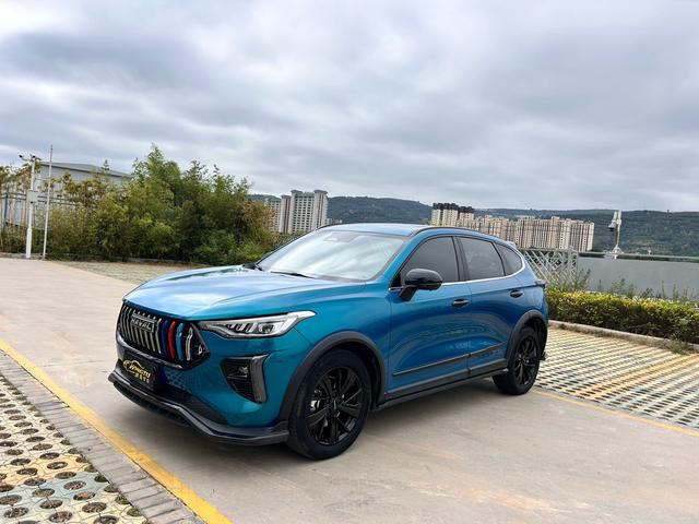 Havoc Red Rabbit 2021 Excite Edition 1.5T Platinum Rabbit