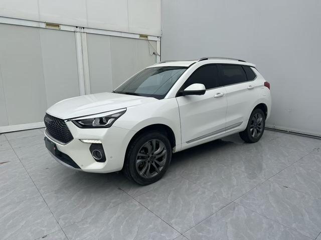 Haval H6 Coupe 2019 1.5T automatic two-wheel drive Super Hao Zhilian version National V