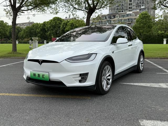 Model X 2017 100D Long Range Edition