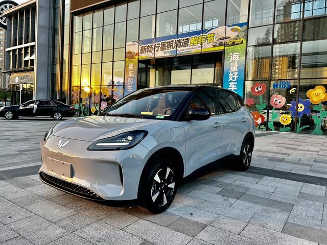Wuling Bingguo PLUS 2024 510km Ultimate Edition