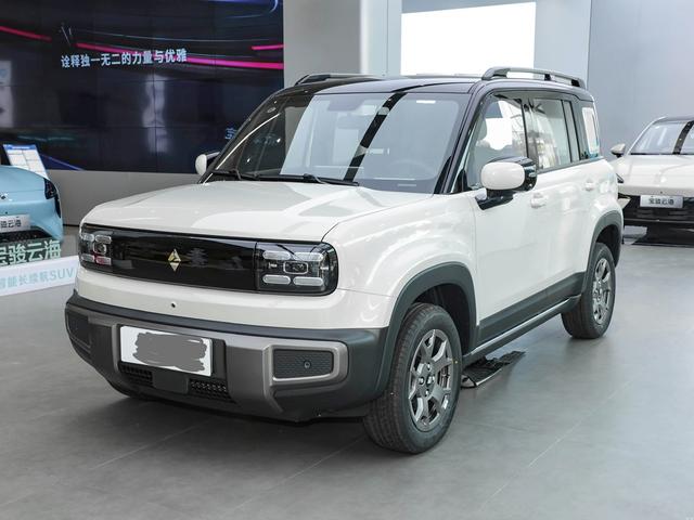 Yueye Plus 2026 301km Ultimate Edition