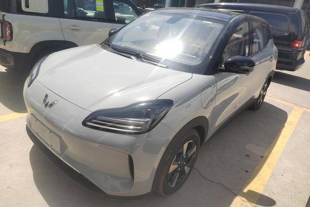 Wuling Bingguo PLUS 2024 510km five-seater version