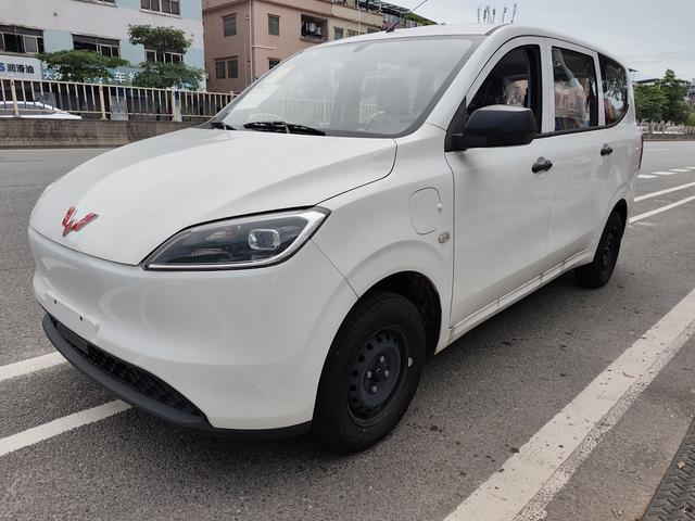 Wuling Hongguang Pure Electric Version 2024 300KM Standard Type