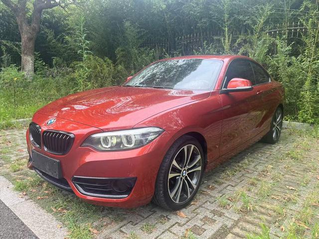 BMW 2 Series (imported) 2019 225i sports design set