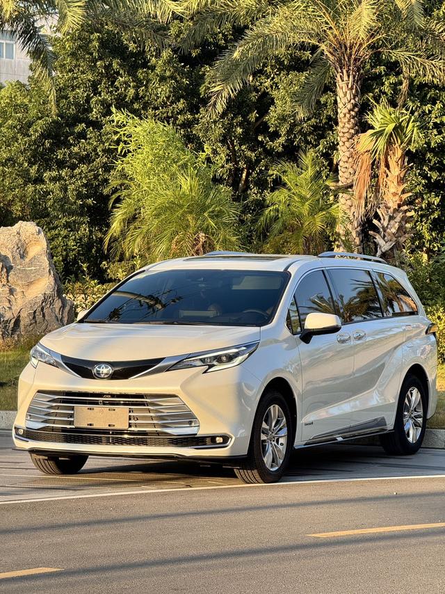 Xena 2021 2.5L Hybrid Platinum Edition