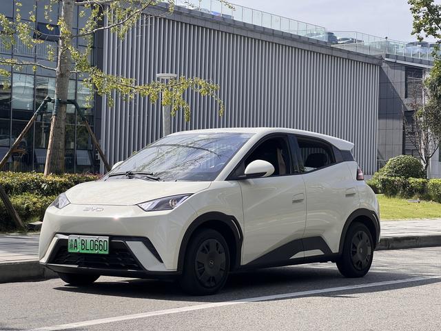 Seagull 2024 Glory Edition 305KM Vitality Edition