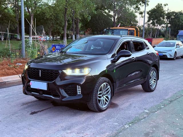 Wei brand VV5 2017 2.0T Super Luxury type