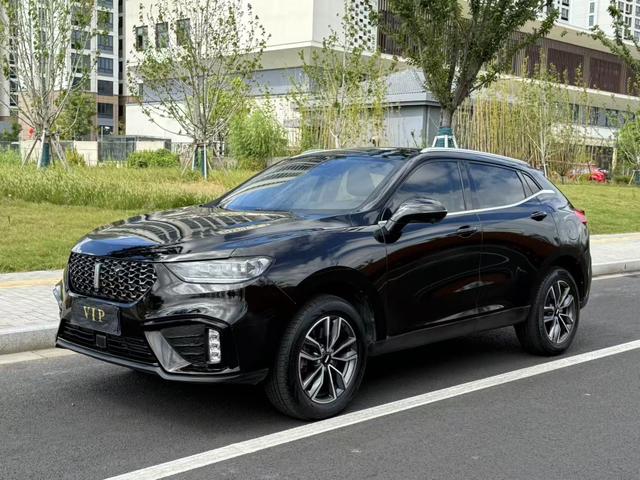 Wei brand VV5 2020 1.5T Smart Pioneer