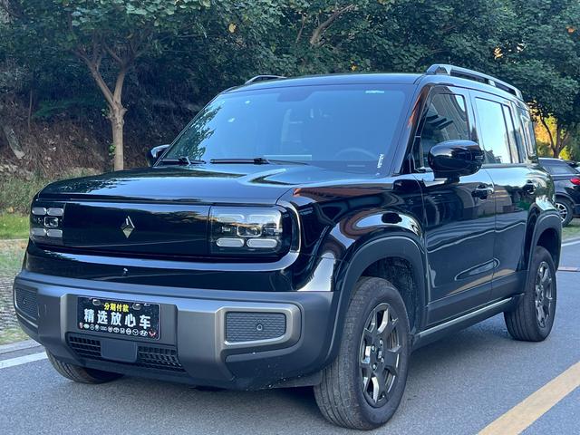 Yueye Plus 2026 301km Ultimate Edition
