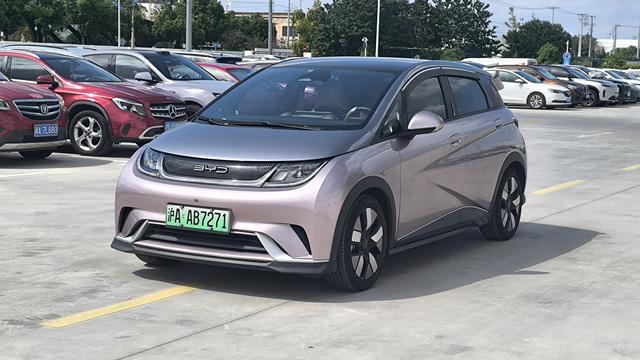 Dolphin 2021 Cavalier