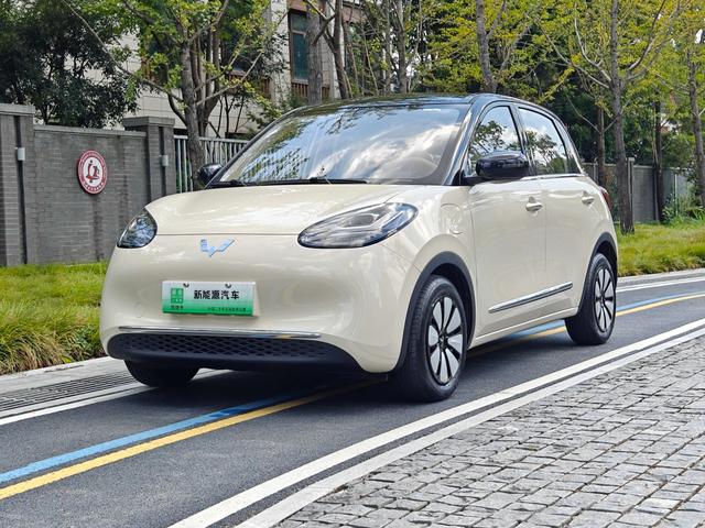 Wuling Bingguo 2025 Model 333KM Consonant Interconnection Model